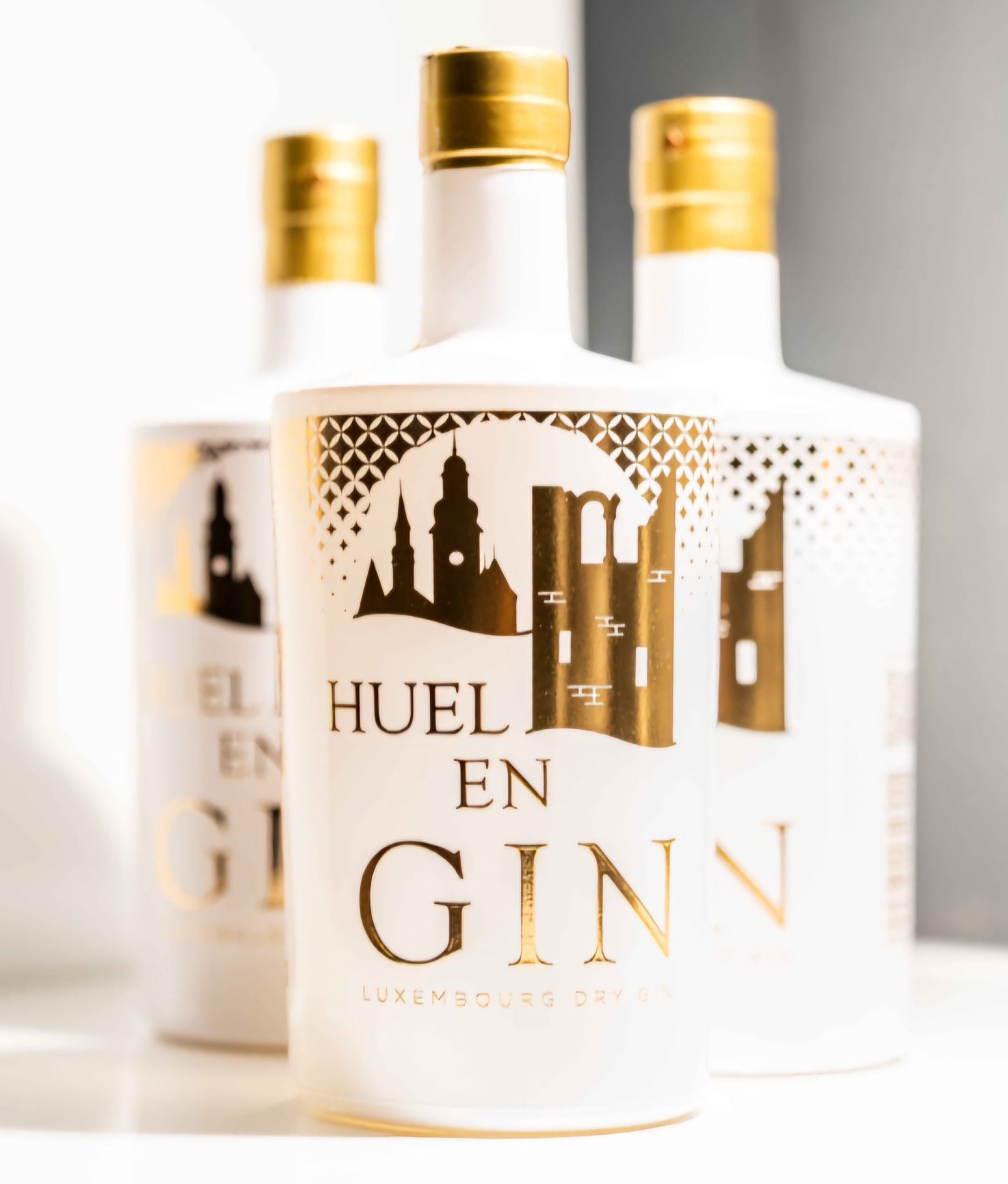 Ginebra Premium "Huel En Gin" (Tómate una Ginebra) - Premium Gin - 500ml - 42%